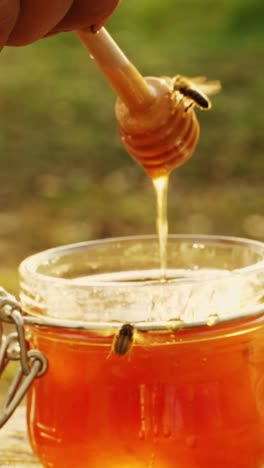hand dipping wooden stick into a jar of honey