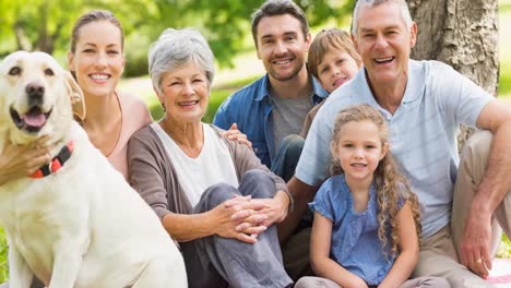 animación de una familia feliz sonriendo juntos al aire libre