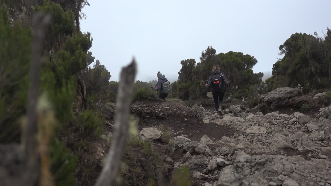 두꺼운 구름을 배경으로 나무로 둘러싸인 킬리만자로 산을 하이킹하는 두 젊은 여성
