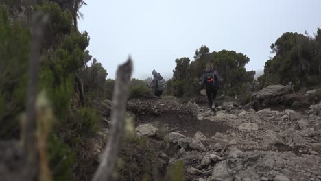 two young women hiking down mount kilimanjaro surrounded by trees with thick clouds in background