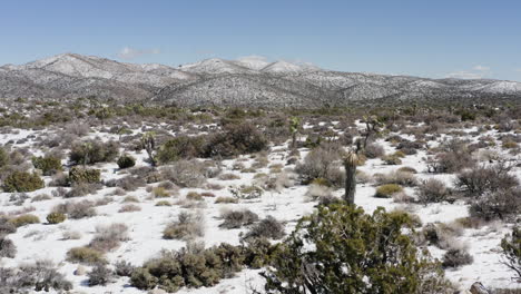 Aerial-view-of-the-Joshua-Tress-National-Park-covered-with-snow