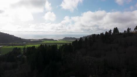 Drone-shot-flying-up-and-over-a-forest-and-revealing-the-pacific-coast-in-California