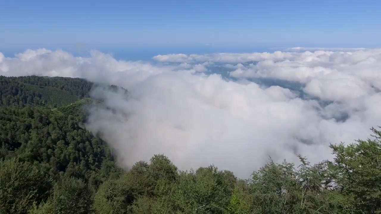 Aerial View of Lush Green Mountains Above a Sea of Clouds