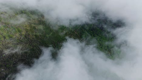 big green mountains and misty clouds, aerial shot above lush forest in mist