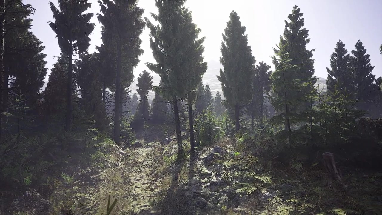 Ricca silhouette di sottobosco con terreno texturizzato e profondità delle ombre