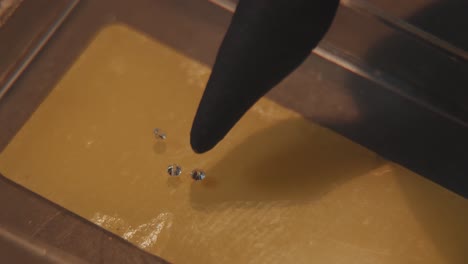 colocación de cristales en el molde de resina