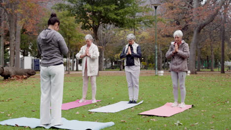 entrenador, parque y mujeres mayores estirándose