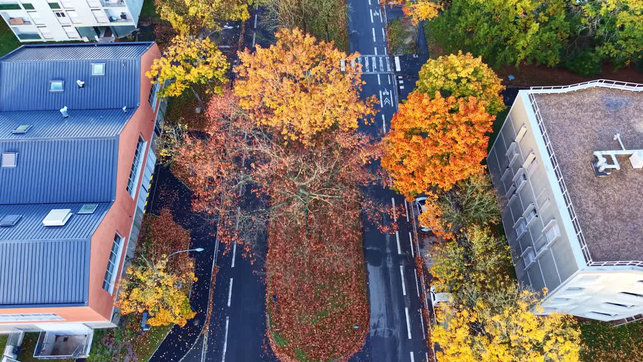 Top-down drone fly over tree-lined boulevard with autumn foliage and crossing streets at Le Blosne district, Rennes, Brittany, France