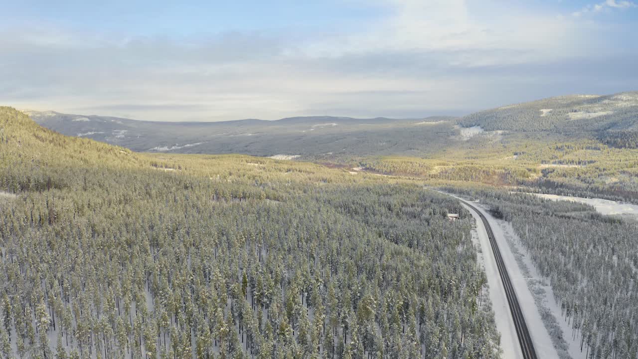 Högt drönarfoto av vägen genom skogen i Stor Elvdal, nära staden Atna, Norge.