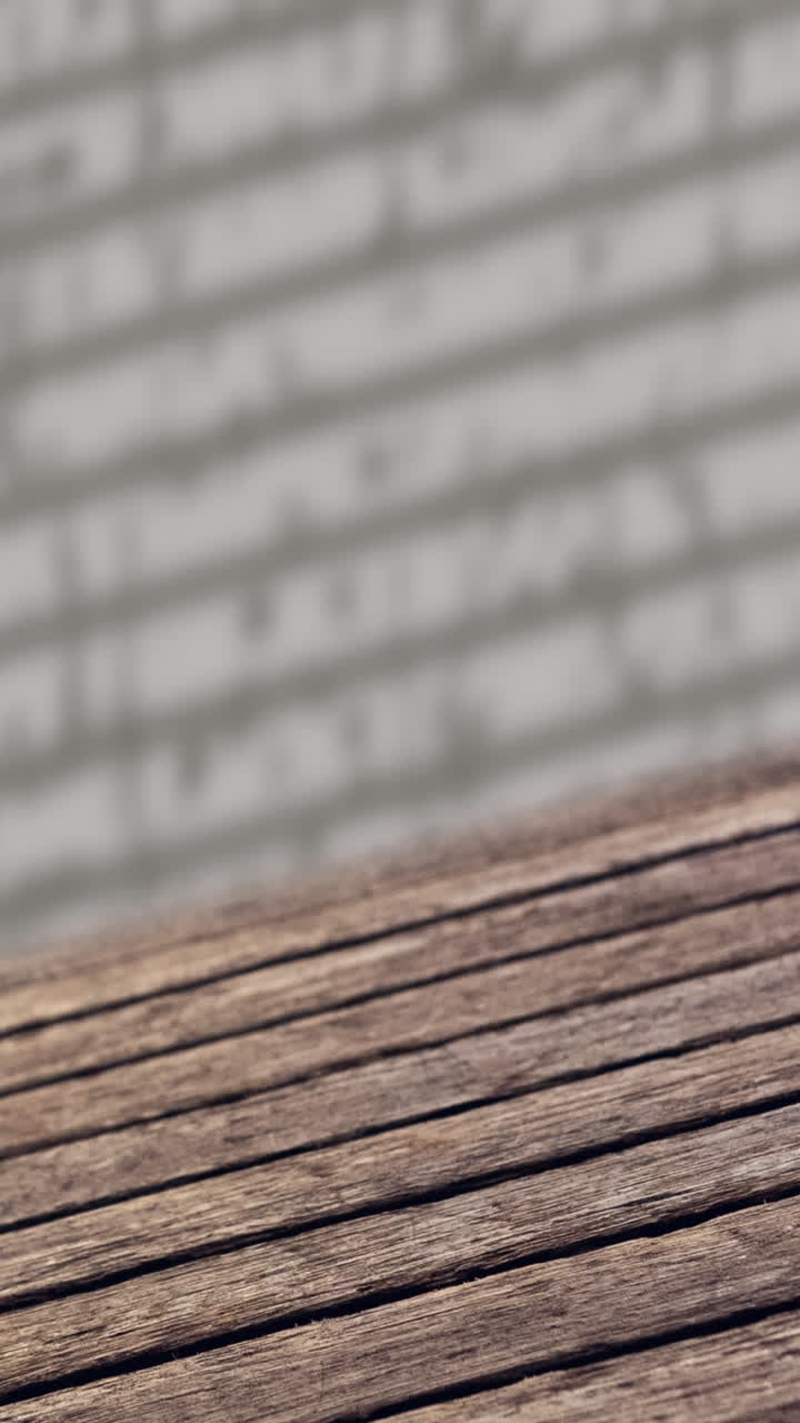 animación de hojas, lluvia y sombra de ventana sobre fondo marrón