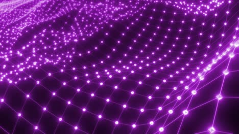 abstract purple network wave