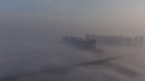 沉默的氣氛在高架橋下, 新城<unk>道