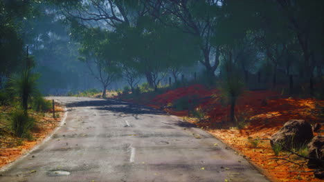 asphalt road through the deep forest