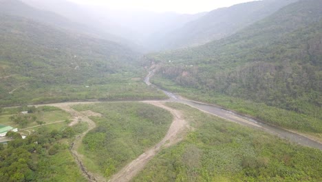 coffee plantation in the bolivian mountain jungle