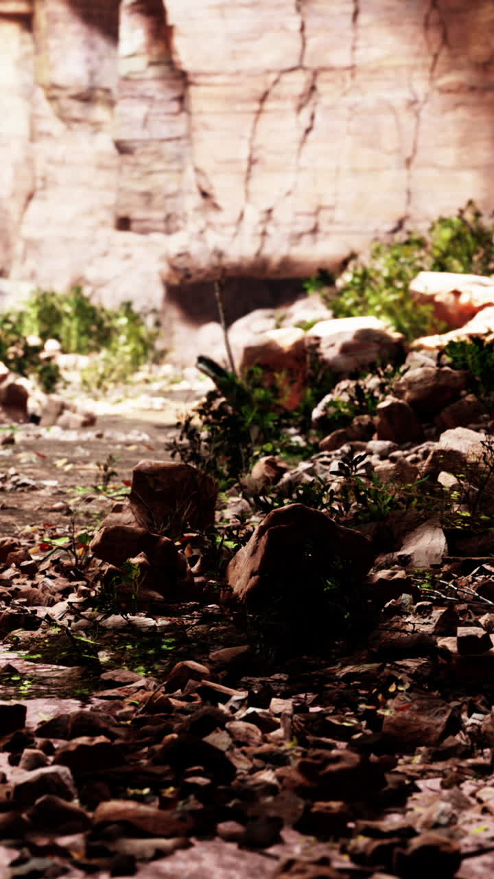 vista desde la cueva a la luz