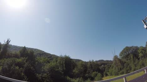 scenic road trip through forest