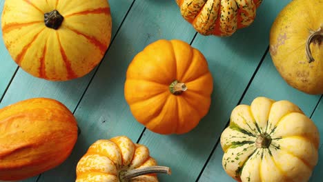 Orange-pumpkins-laid-in-lines