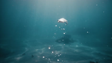 In-Zeitlupe-Steigt-Eine-Große-Luftblase-Zwischen-Tief-Türkisblauem-Wasser-An-Die-Oberfläche,-Während-Lichtstrahlen-Nach-Unten-Scheinen