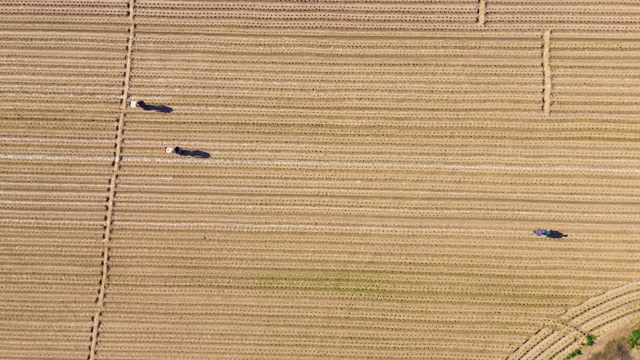 Drone Aerial View of Farmers Fertilizing Newly Planted Vegetable Fields in Rural Farmland