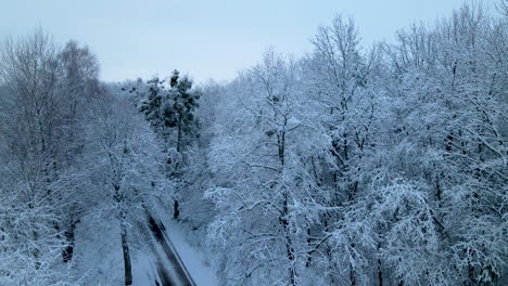 Tiro-Aéreo-Descendente-Lento-Del-Bosque-De-Invierno-Con-Ramas-De-Madera-Cubiertas-De-Nieve-Y-Camino-Vacío-En-Diciembre