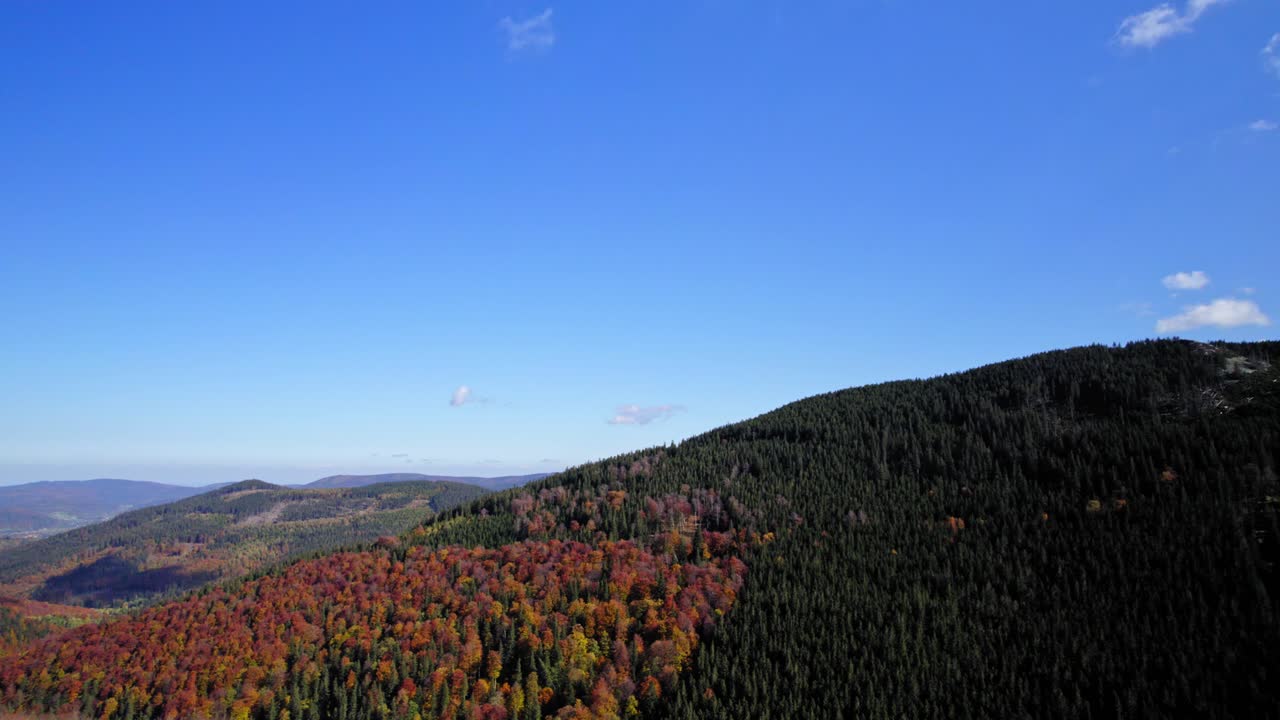 사랑스러운 실레시아의 놀라운 자연 촬영