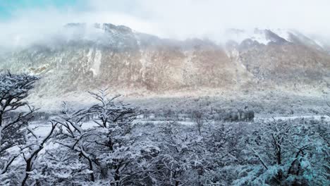 una perspectiva aérea que captura montañas cubiertas de nieve y un bosque prístino por debajo