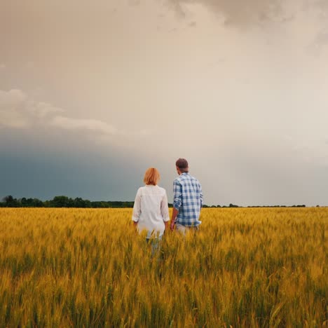 Two-Farmers-Stand-In-A-Field-Of-Wheat-Against-A-Stormy-Sky-1