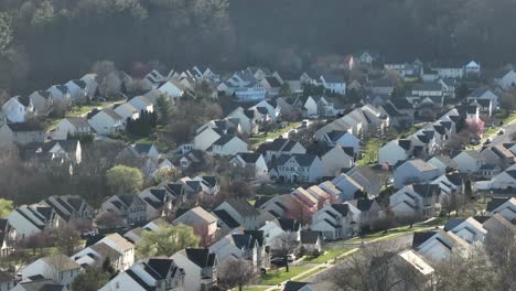 Flock-of-black-birds-flying-over-new-development-housing-area-in-suburbia-of-american-town