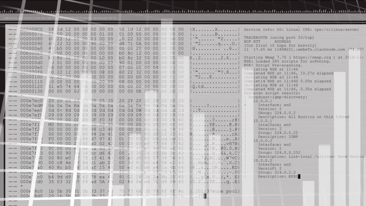 Animation of bar graphs over data processing on computer screen