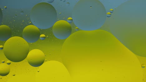 Macro-structure-of-colorful-oil-bubbles.-Chaotic-motion.-Abstract-multicolored-background.-Pattern