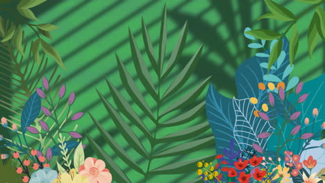 animation of flowers over leaves and window shadow on green background