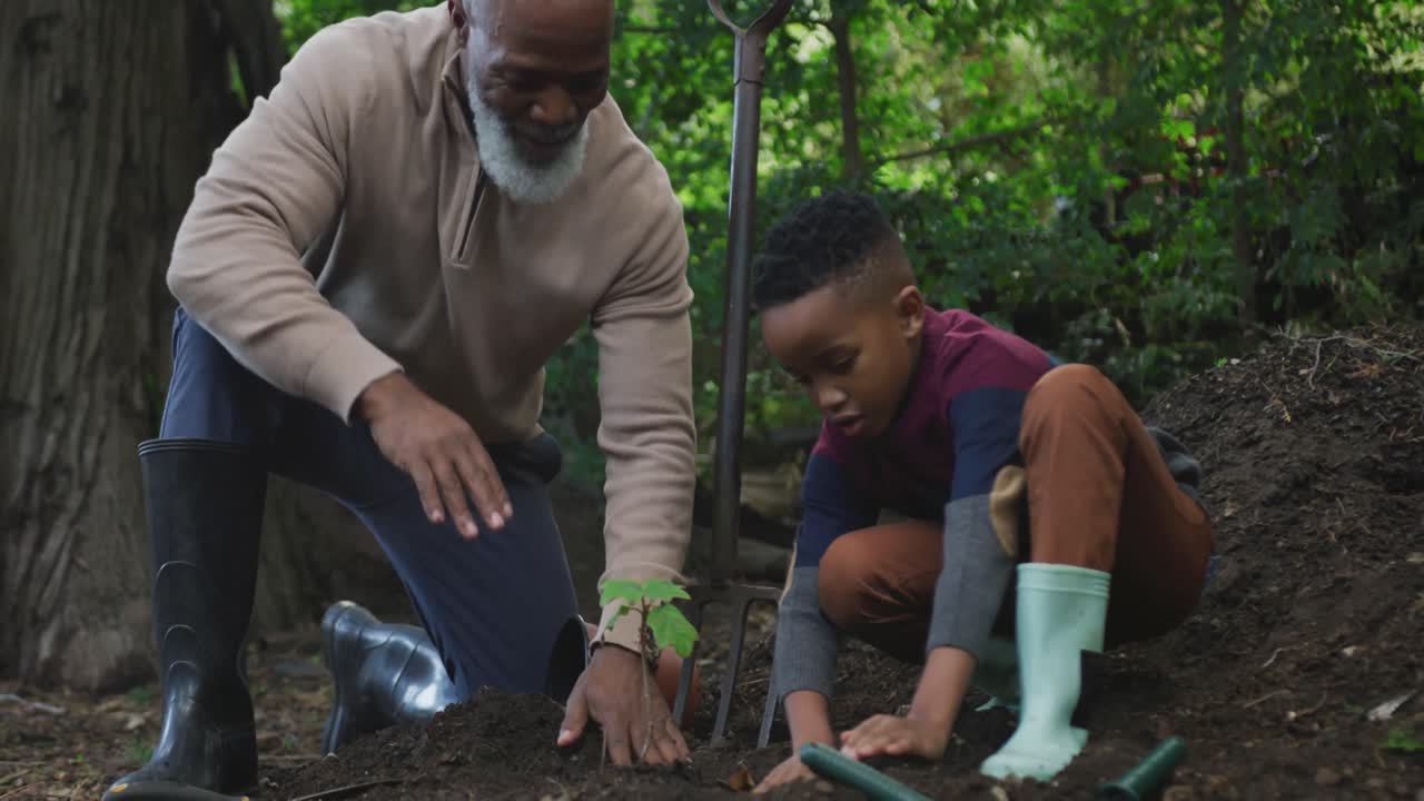 hombre afroamericano mayor feliz con su nieto plantando en el jardín