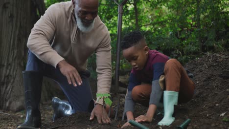 happy senior african american man with his grandson planting in garden