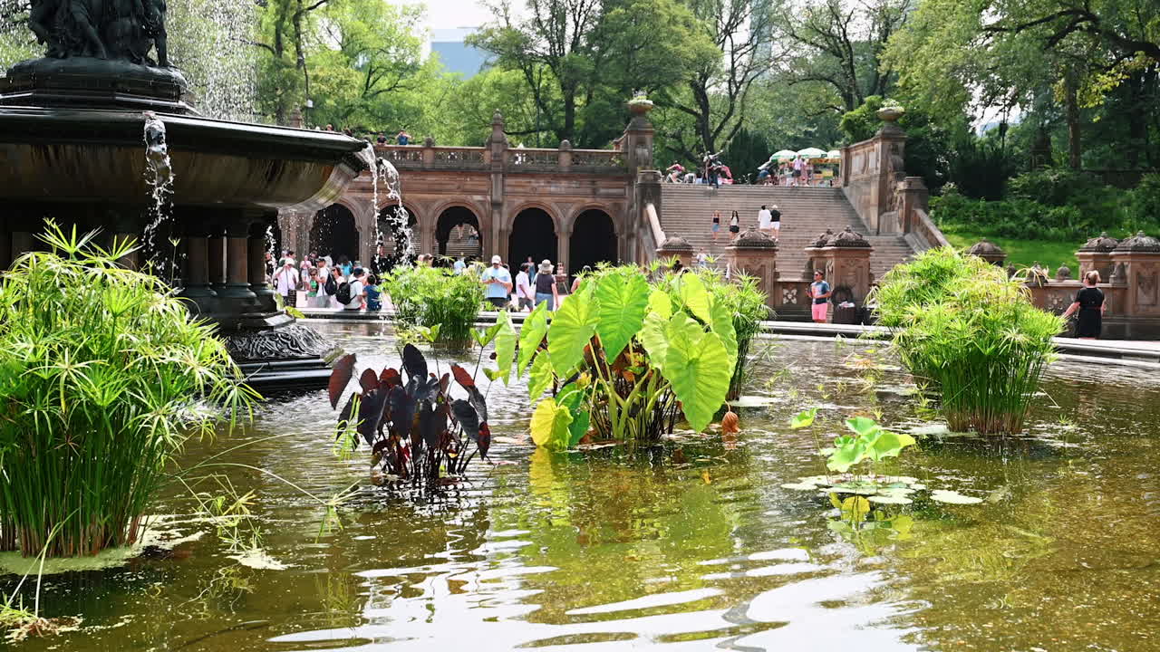 New York, USA, 28 July 2025: Visitors enjoy sunny Central Park. People gather around a beautiful fountain in Central Park, enjoying the warm weather and vibrant greenery