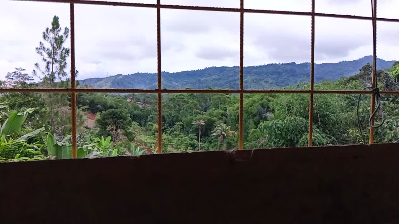Vista natural tropical desde detrás de la celosía.