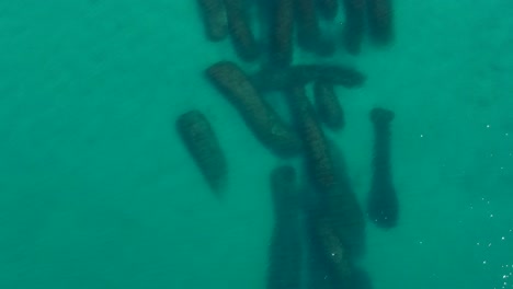 Aerial-footage-of-sea-birds-sitting-above-an-artificial-reef