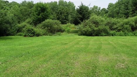 a quick creepy drone dolly across a well trimmed lawn looking into dense forest