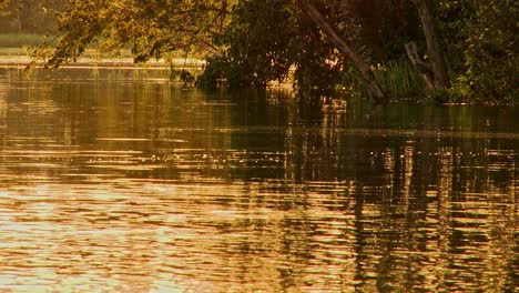 Eine-Statische-Ansicht-Des-Amazonas-Bei-Sonnenuntergang,-Wobei-Sich-Der-Himmel-Im-Wasser-Spiegelt