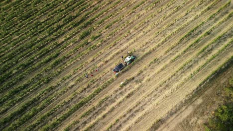 Aerial topdown of Tuscany farmhouse surrounded by bright crops in golden field