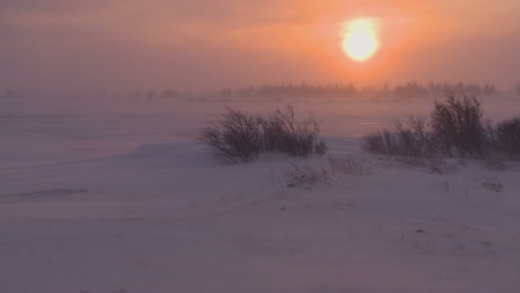 激しいブリザード中の北極の凍ったツンドラの日の出または日没