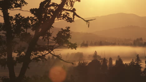 Sonnenaufgangsschwenk-über-Ein-Nebliges-Tal