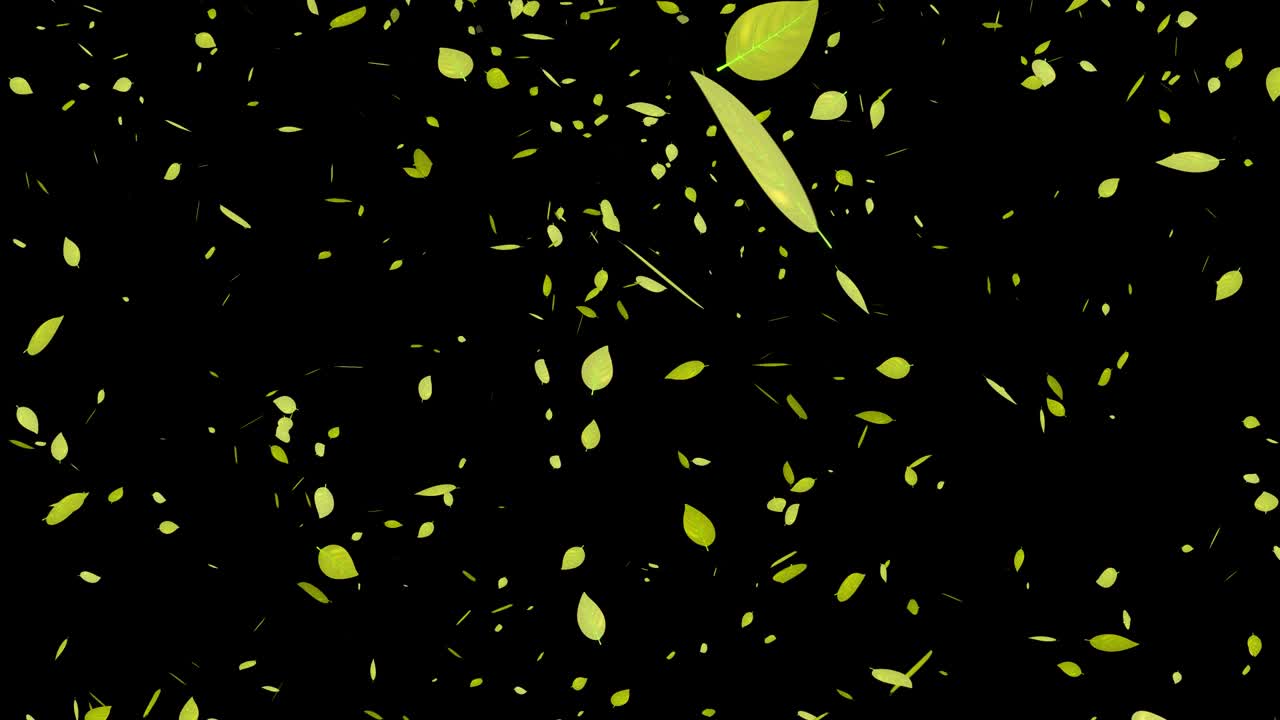 노란 잎, 가을 잎, 떨어지는 입자, 모션 그래픽
