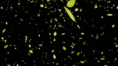 yellow leaves, autumn leaves, autumn leaves, falling particles, motion graphics
