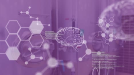 Diagramas-Cerebrales,-Datos-Y-Equipos-De-Laboratorio.