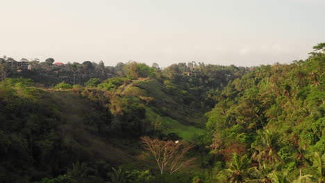 the ubud ridge walk during sunset. aerial shot