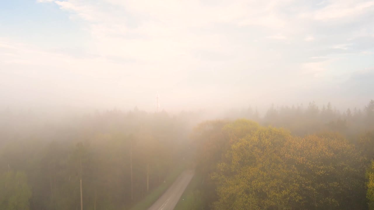 туманный лес с коммуникационной башней