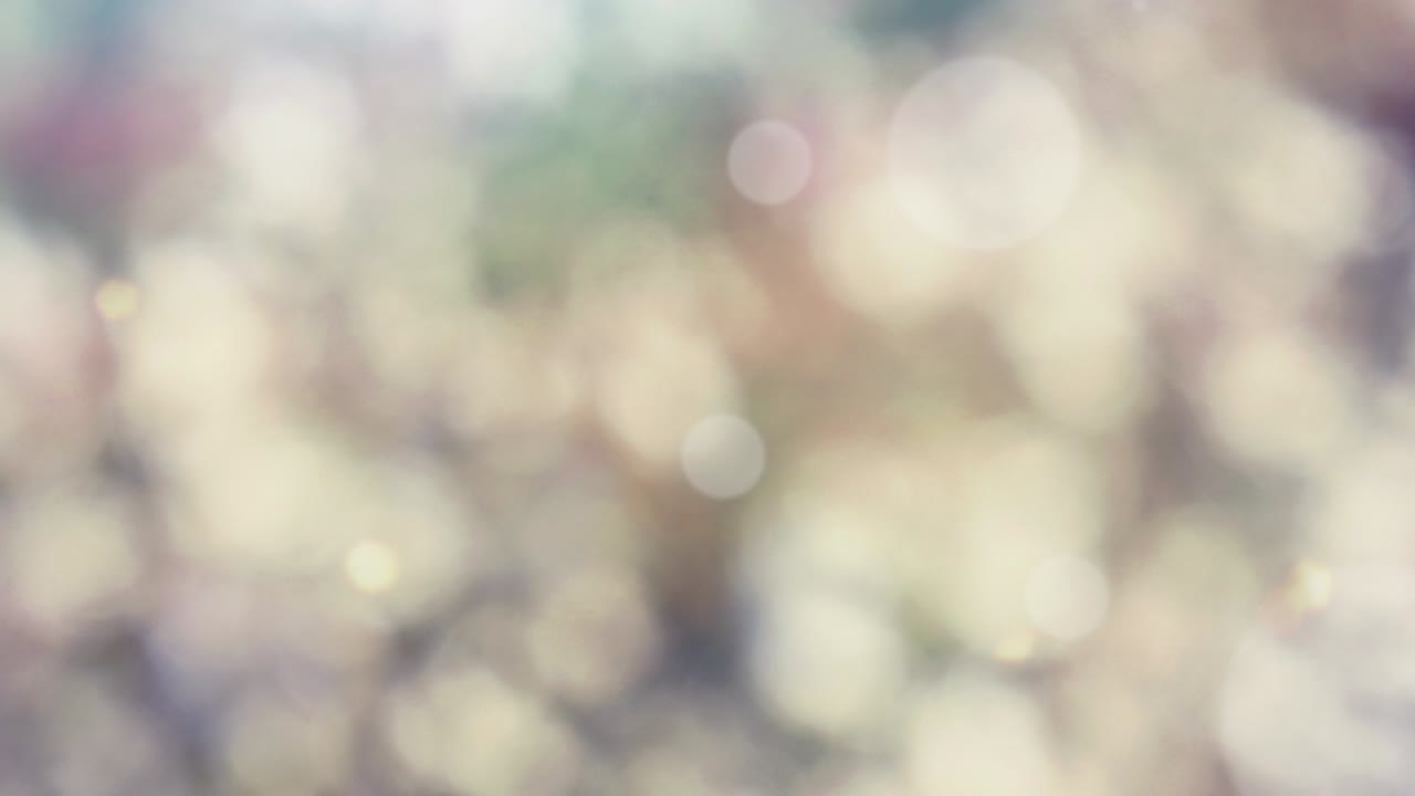 fondo de resorte abstracto con bokeh