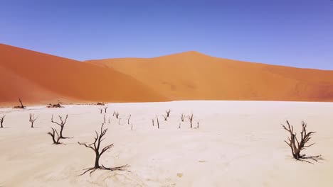 4k drone flying over dead camel thorn trees in deadvlei, near sossusvlei, namib-naukluft park, namibia