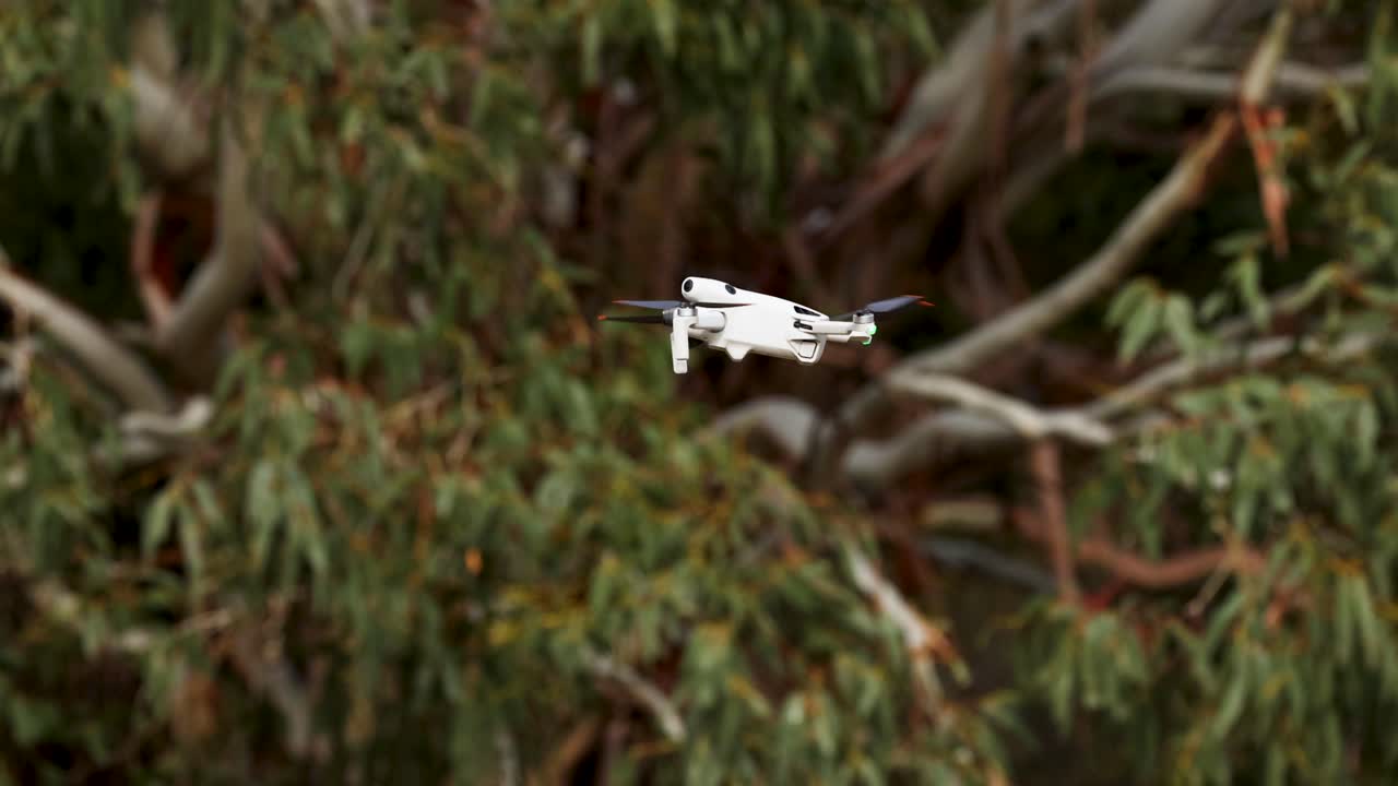 A drone navigates through dense forest in Wanaka, New Zealand, showcasing smooth flight and natural surroundings