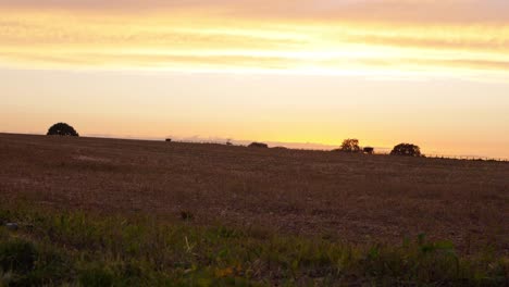 sunset over farmers field with fencing silhouette panning shot